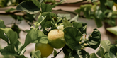  | Giemme BrandsCorporate | Official Website
