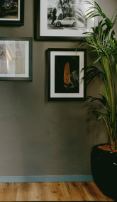  | Giemme BrandsCorporate